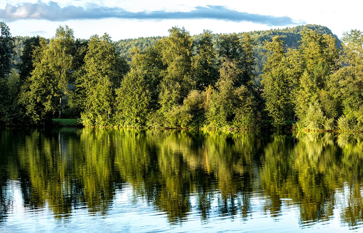 Anreise zum Happurger Baggersee: Auto, Bahn und der letzte Weg